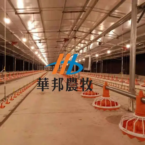 山东华邦农牧养鸡平养料线