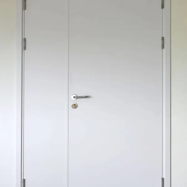 青岛钢木防火门 钢质防火门 洁净钢质门定做厂家