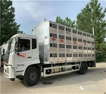 鸡苗运输车运猪车