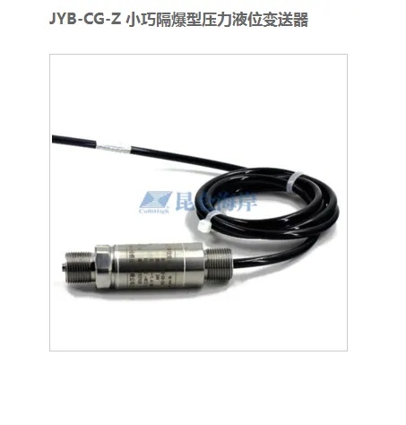 ���غ���JYB-CG-Z С�ɸ�����0-1.6MPaѹ��Һλ������