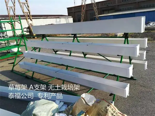 折叠草莓架价格-云南折叠草莓架-天津泰福钢塑管