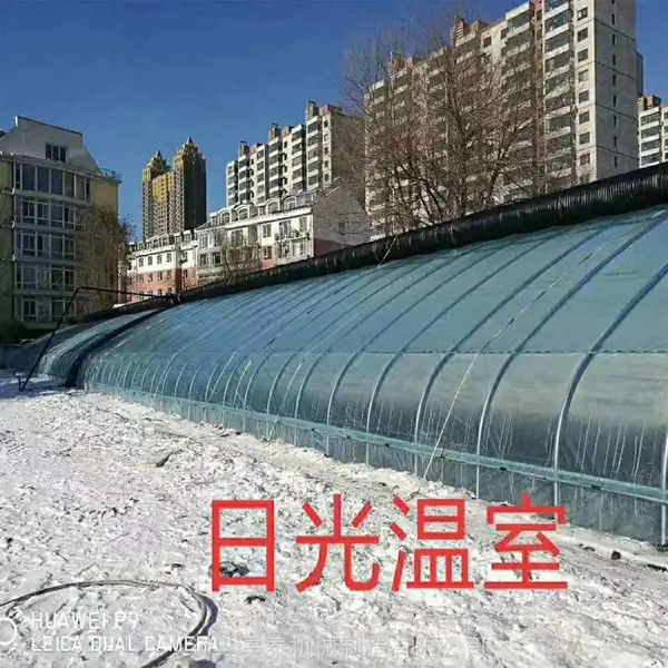 钢结构大棚 大棚钢骨架 钢架蔬菜大棚厂家