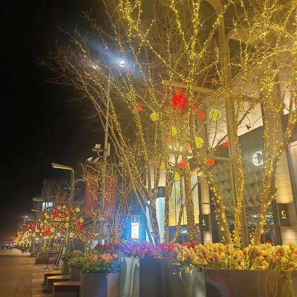 节日美陈灯饰 LED节日灯饰 户外灯串亮化 节日彩灯装饰 春节美陈布置 市政节日灯饰亮化