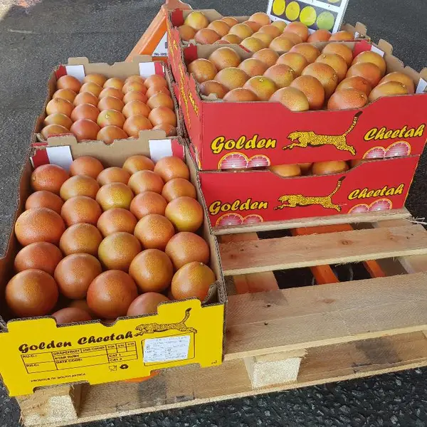 奶茶餐饮店榨果汁泡冷饮专用进口鲜果批发货源南非金豹葡萄柚西柚