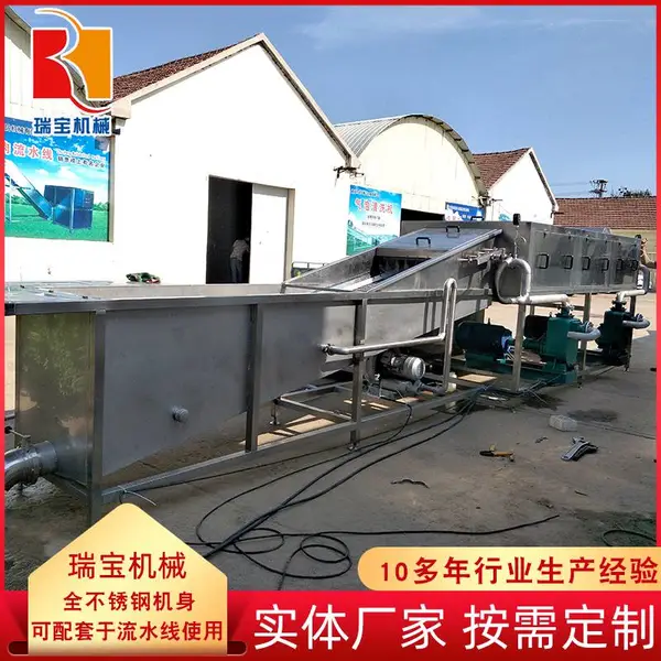 土姜清洗机,支持定制姜芽鲜姜小黄姜老生姜清洗,洗姜机