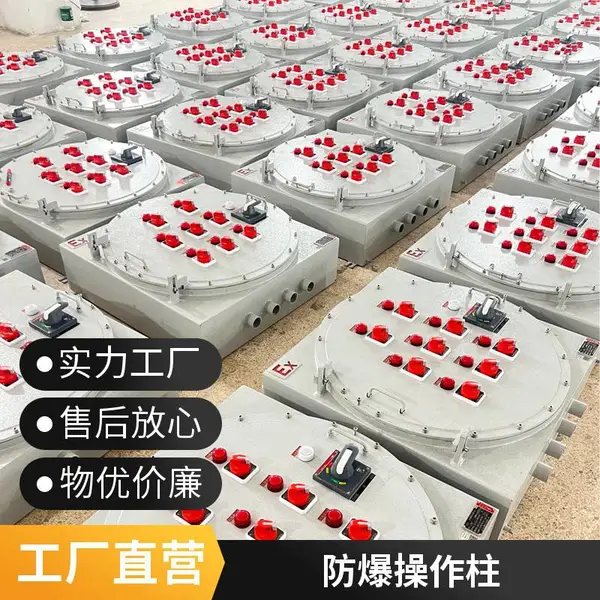 壁挂防爆控制柜 成套元器件装配危险区域动力控制箱体
