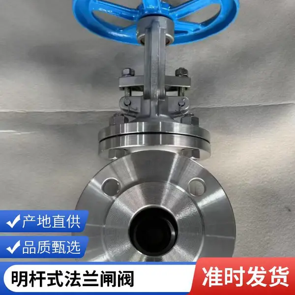 支持定制的CF8不锈钢闸阀 明杆式 石油管线输送截断阀