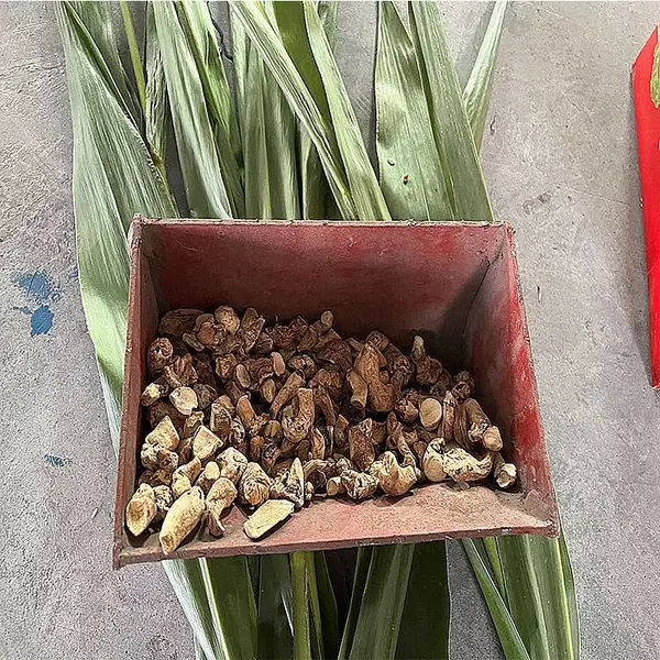 出售NE系列斗式提升机料斗NE15/NE30/NE50工业传动炼板炼料斗