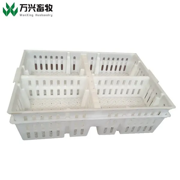 厂家供应雏鸡筐 加厚雏鸡筐 塑料鸡苗周转箱 鸡苗鸭苗周转筐 规格价格图片