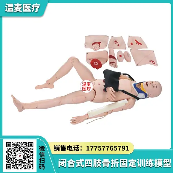 温麦医疗 闭合式四肢骨折固定训练模型 颈托创伤护理 脊柱损伤模拟人