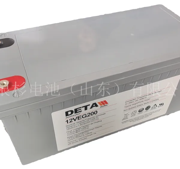 �¹���ɼDETA����10OPZV1000����������������ƿ2V1000AH