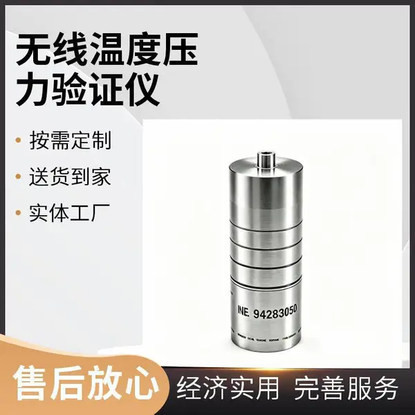 DXH无线温度验证仪进口品牌NTC 高精度温度测量仪 制药灭菌器