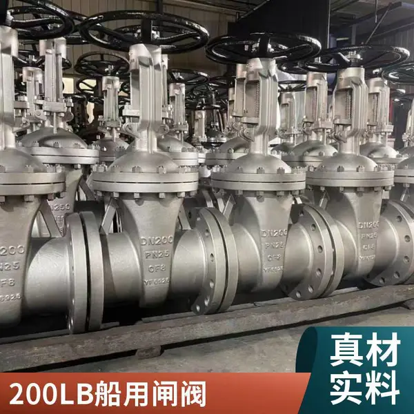 美标不锈钢闸阀 304材质 造纸厂纸浆管道 耐磨耐腐蚀