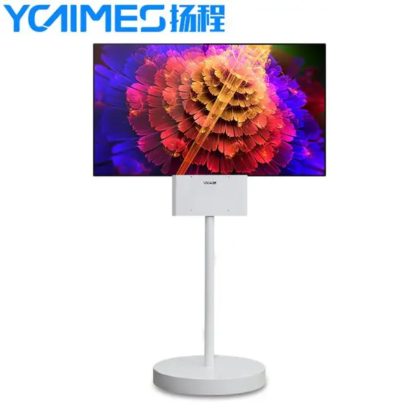 OLED双面屏研发生产厂家_扬程电子多项OLED显示产品应用***_定制类可加触摸_吊装立式设计