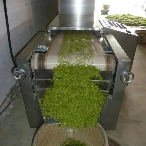 广西茶叶微波杀青机 绿茶微波杀青机 莓茶微波杀青机 岩茶微波杀青机