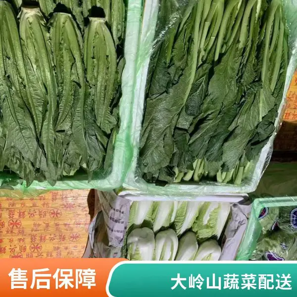 蔬菜配送 大岭山工厂食堂托管托管公司 一站式食堂承包托管