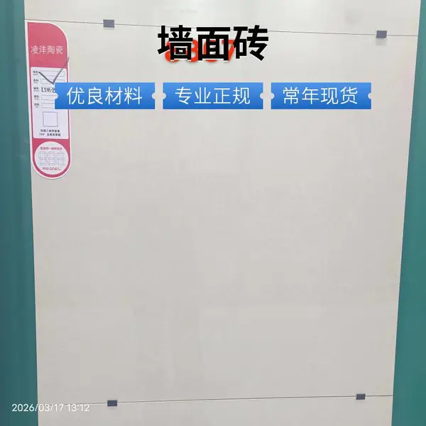 客厅陶瓷内墙砖 弯曲软面瓷砖 300x600内墙砖 大理石多