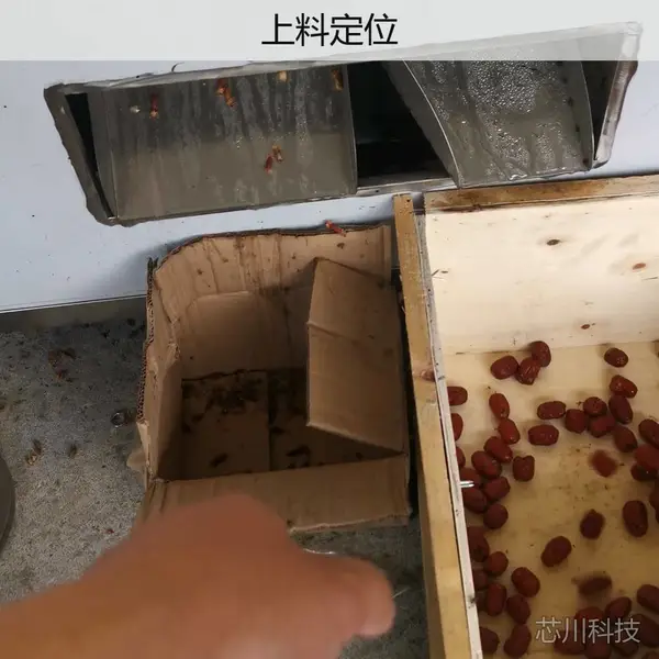 百喜利红枣去核机 枣制品加工冲核设备