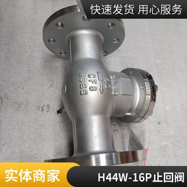 H44W-16P DN125 耐磨耐用 尺寸支持定制 法兰连接旋启式止回阀