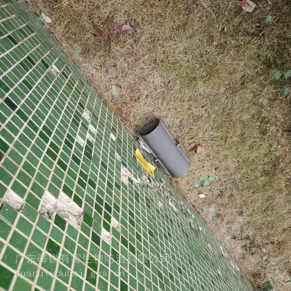 江西除四害 江西灭跳蚤本地公司 一次清理到位