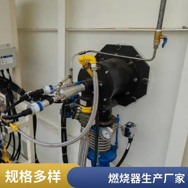 岱鼎 500万大卡天然气 低氮燃烧器 支持定制 规格齐全 维护保养