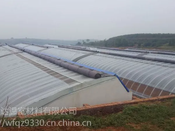 日光蔬菜温室亩产量/日光薄膜温室生产加工
