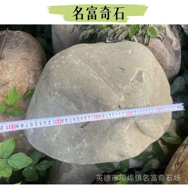 陕西庭院道路青石板尺寸 陕西小区花园青石草坪装点 陕西青石供应商
