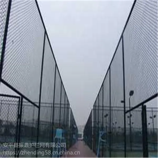 振鼎 足球场喷塑低碳钢丝防爬防护网 球场勾花围栏隔离栅