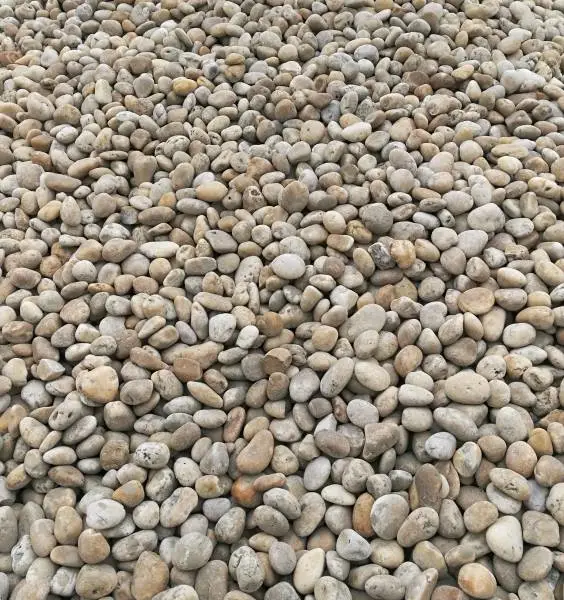 景观摆放彩色鹅卵石厂家 园林绿化天然混色鹅卵石型号多样 荣茂