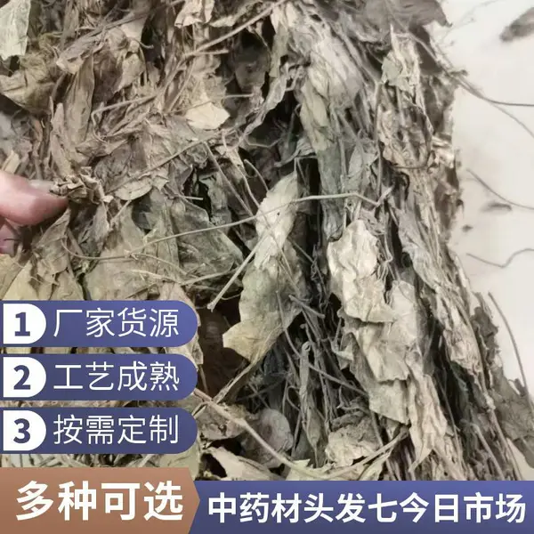 奇弘堂野生通城虎/头发七中药材产地批发一手货源