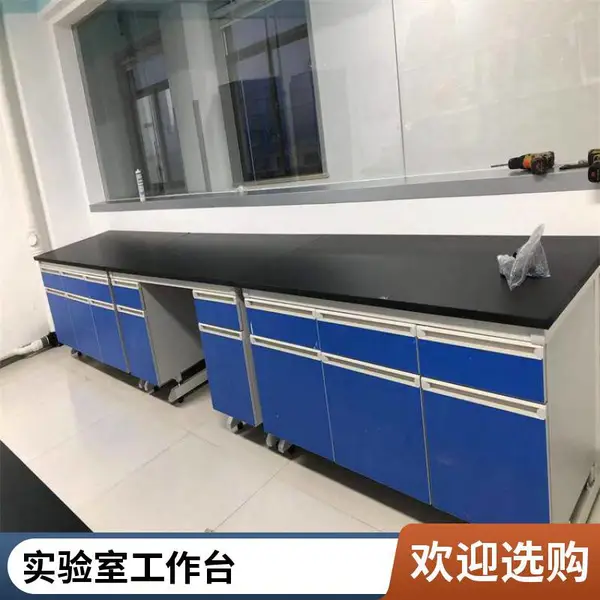 生产实验台厂家 落地通风橱 通风药品柜 耐用使用寿命长久