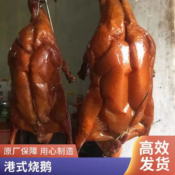 烧鹅胚海鹏港式烧鹅胚解冻风干后烤黑棕鹅棚鹅【一手三鸟】