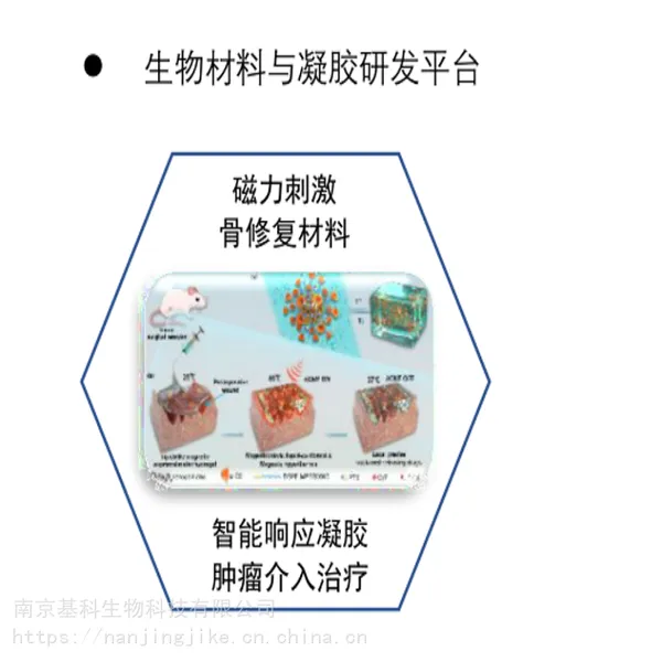 基科生物提供生物材料与纳米凝胶技术服务平台