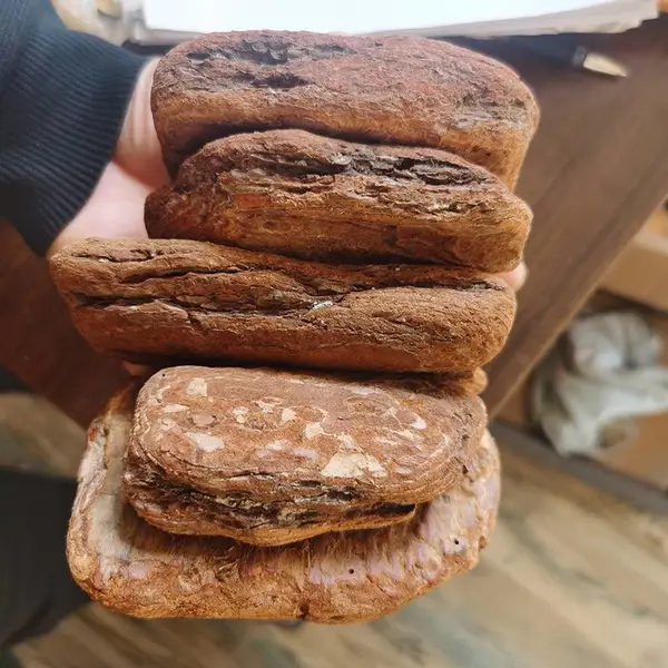 ��Ȼ�׹����� 50L��װ����Ƥ 8-10cm������ֲ�����������