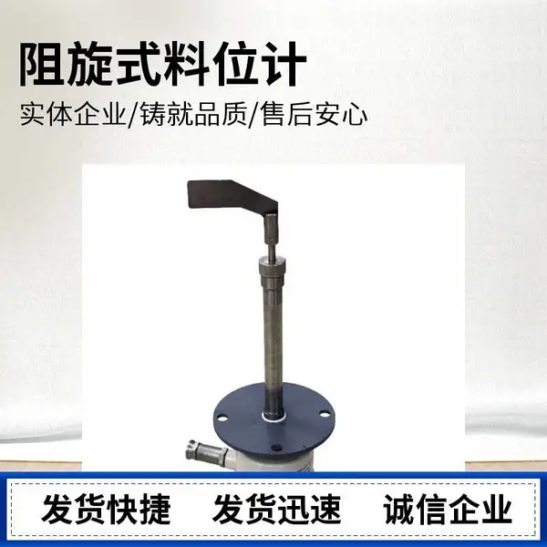 星锐DW-LZS65F捞渣机侧装防砸型阻旋物位计安装 厂家