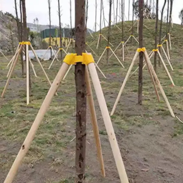 抱箍式大树支撑架40 管 48管户外行道树抗风防倾斜加固支撑器材