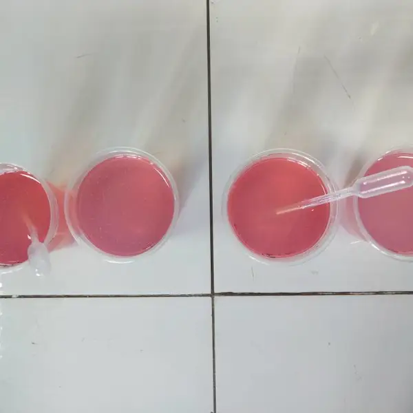 船用树脂 彩色胶衣 耐水耐腐蚀,CCS 船检认证Fiberglass & Resin for FRP Skylight