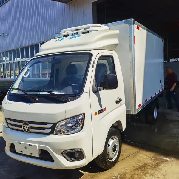 小型汽油冷冻保鲜货物运输车 雪糕冷饮冷藏车冷冻车