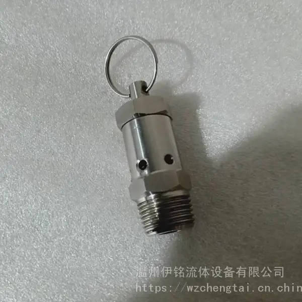 卫生级排气阀 迷你安全阀 自动排气阀 不锈钢304 1/4