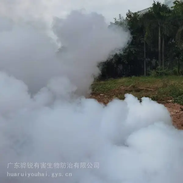 海南杀虫灭鼠 海南灭臭虫专业公司 高效除害 按需服务