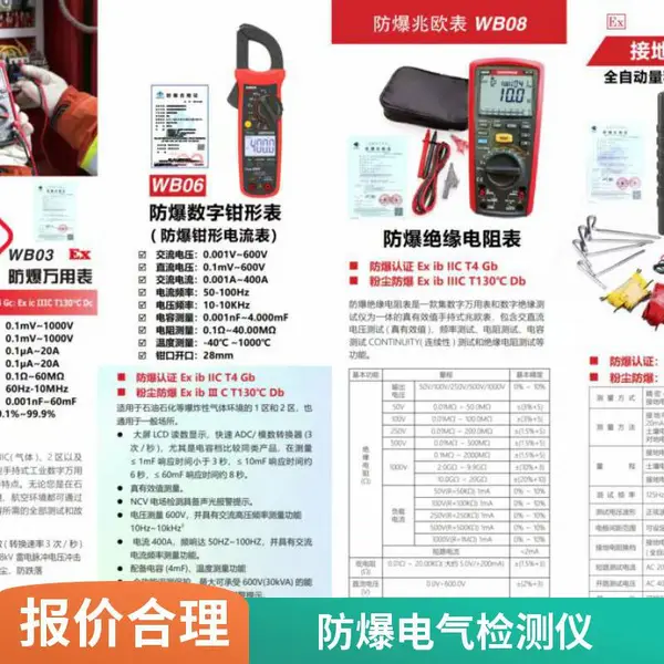 防爆绝缘电阻测试仪WB08 防爆兆欧表 电子设备检测 厂家批发