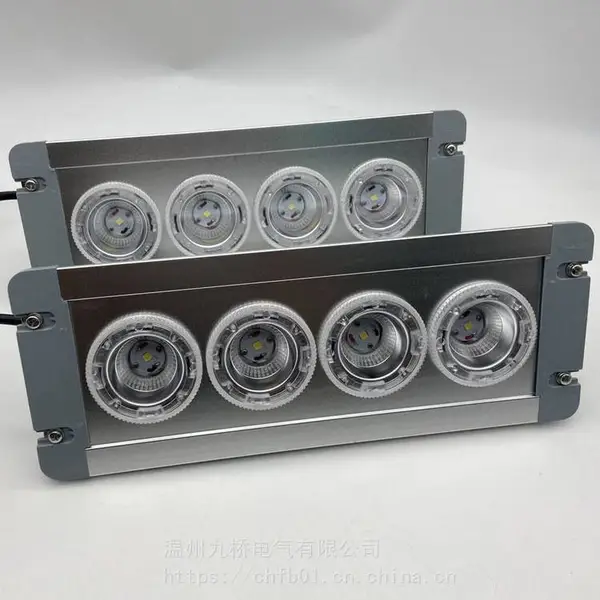 NFE9121应急顶灯 主控室变电控制室LED应急壁灯 12W
