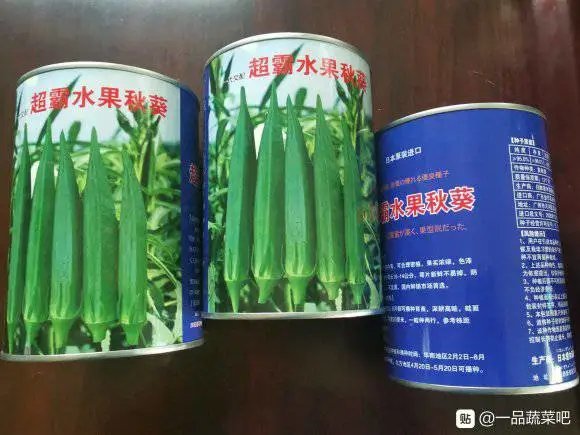 超霸水果秋葵果实浓绿,色泽亮丽