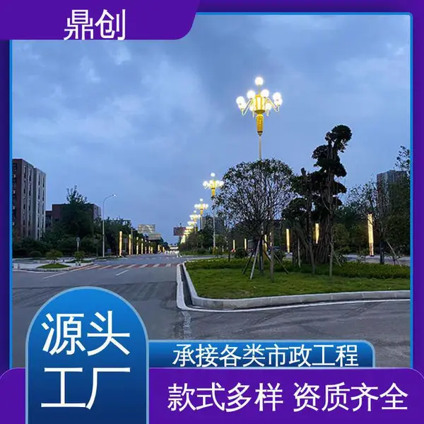 鼎创 一杆多用 文化景观灯设计 上门测量安装 小区道路照明