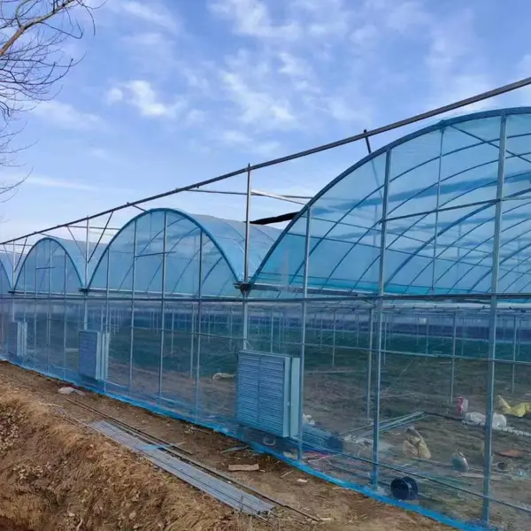 广西北海水产养殖大棚 连栋大棚预算建设成本 薄膜连体大棚