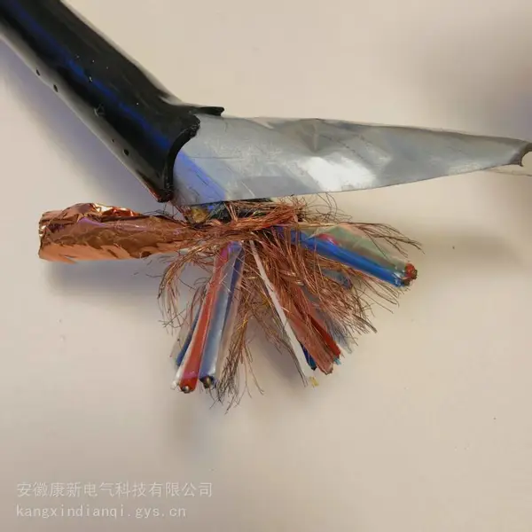 ZRC-DJVP2VP2-23-2*3*1.0MM 徽嬴康星牌 计算机电缆