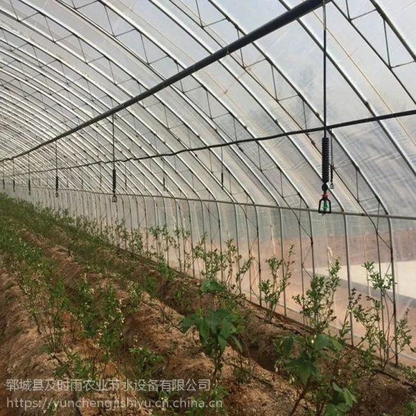 及时雨241t葡萄微喷 吊挂旋转微喷 水肥一体化 滴灌管