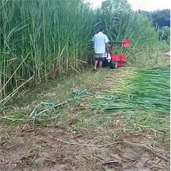 柴油式手扶苞米收获机秸秆粉碎机手推式玉米割杆机