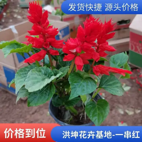 һ���� �������� �����칤�̻��� ���� ��ڻ��� �ڻ�����