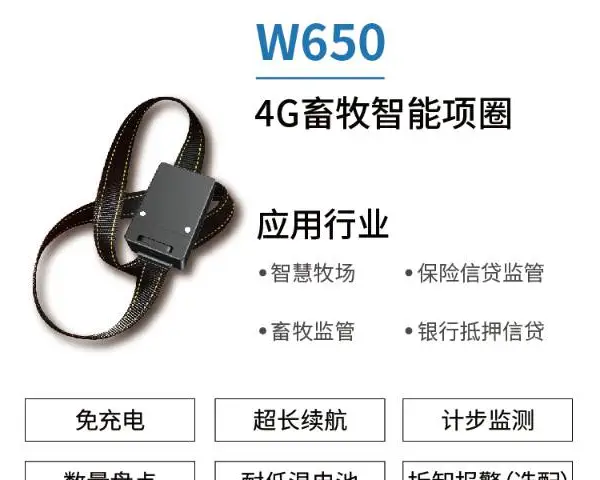 牛羊定位项圈哪个好用 欢迎咨询 上海物和电子科技供应